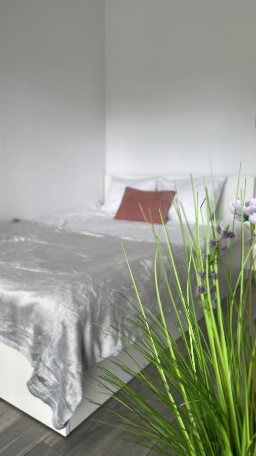 Apartamenty Izabell By Housine Zator Zewnętrze zdjęcie
